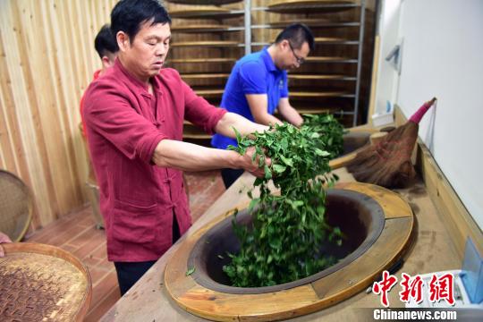 國家非遺傳承人張回春傳統(tǒng)手工制茶