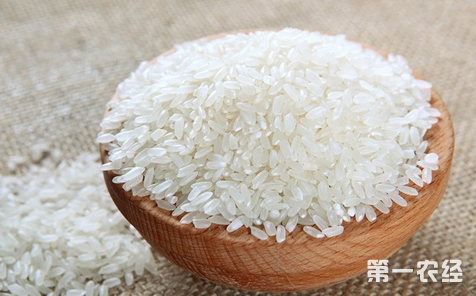 第一農(nóng)經(jīng)·大米