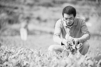王永源在自己的農(nóng)場菜地。