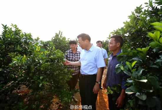 李克強(qiáng)：“互聯(lián)網(wǎng)+”為贛南臍橙產(chǎn)業(yè)插上了翅膀