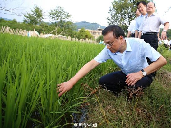 總理考察途中臨時(shí)停車，隨機(jī)了解稻谷收購價(jià)格