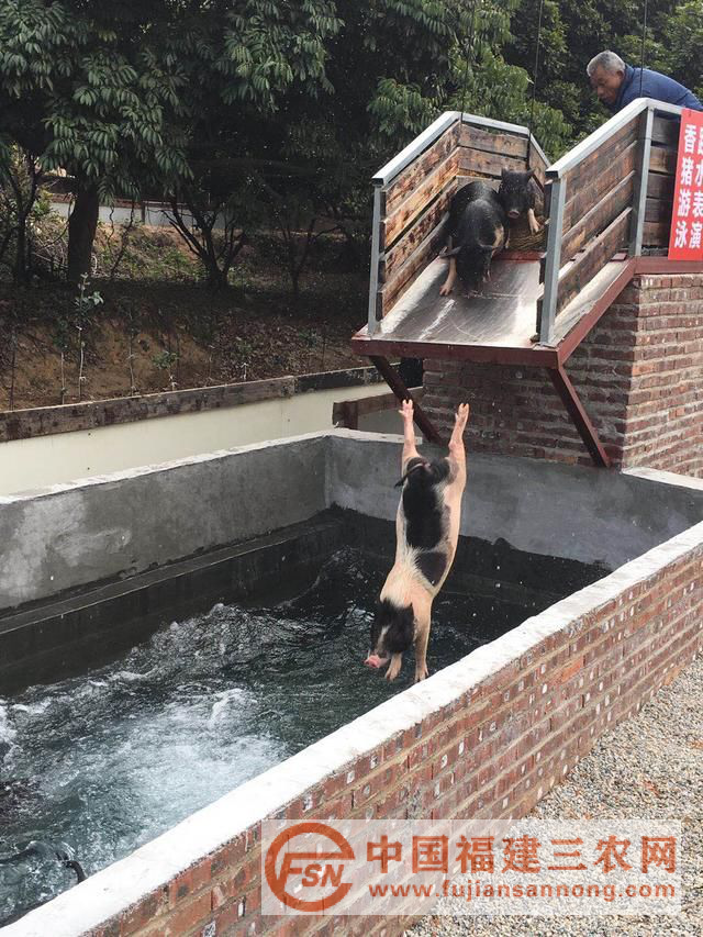 圖片3.png