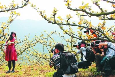 政府引導(dǎo)打造農(nóng)旅新路徑 農(nóng)旅融合帶動(dòng)鄉(xiāng)村振興