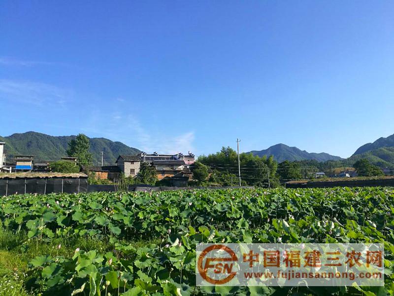 微信圖片_20180706162941.jpg