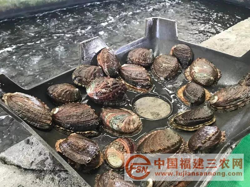 微信圖片_20180713160125.jpg