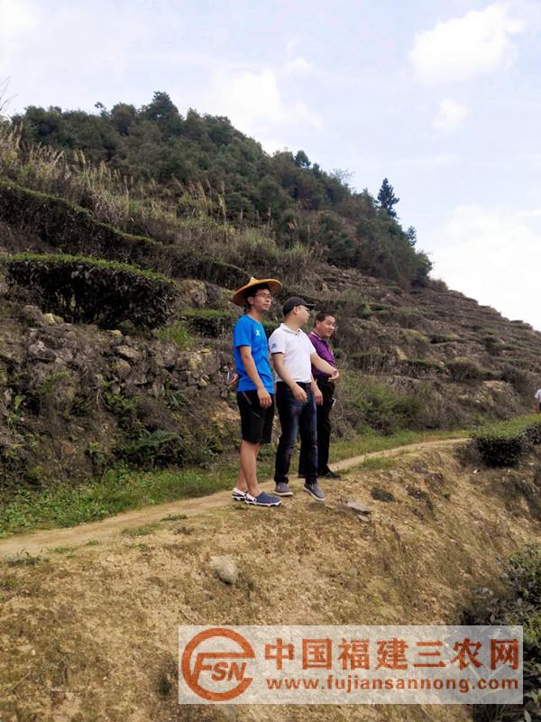 考察農(nóng)業(yè)發(fā)展項目地塊2.jpg