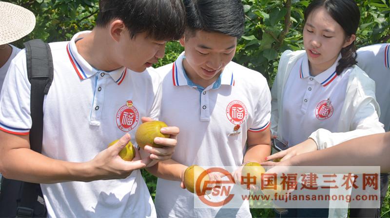 農(nóng)產(chǎn)品調(diào)研1.jpg