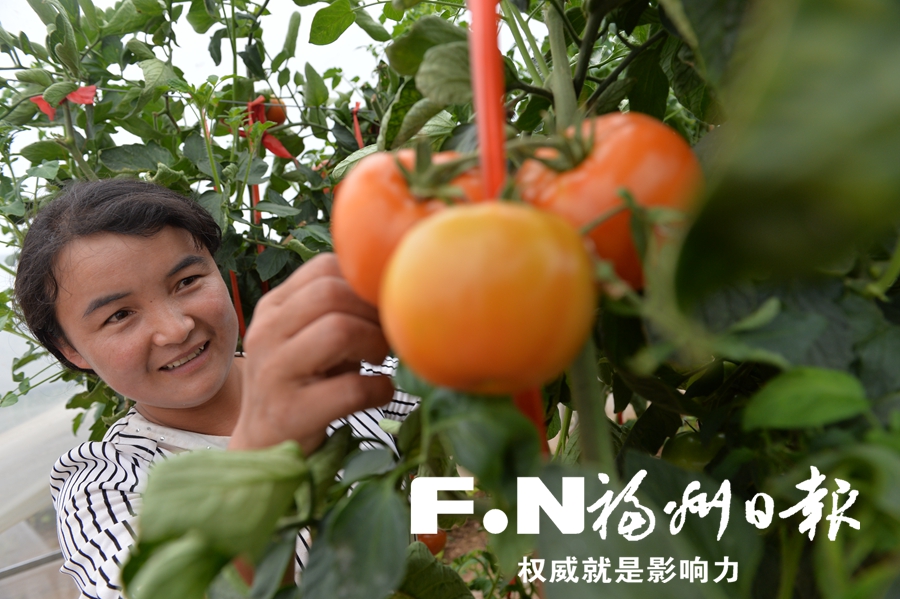 倉(cāng)山臨洮東西部扶貧協(xié)作邁入新階段