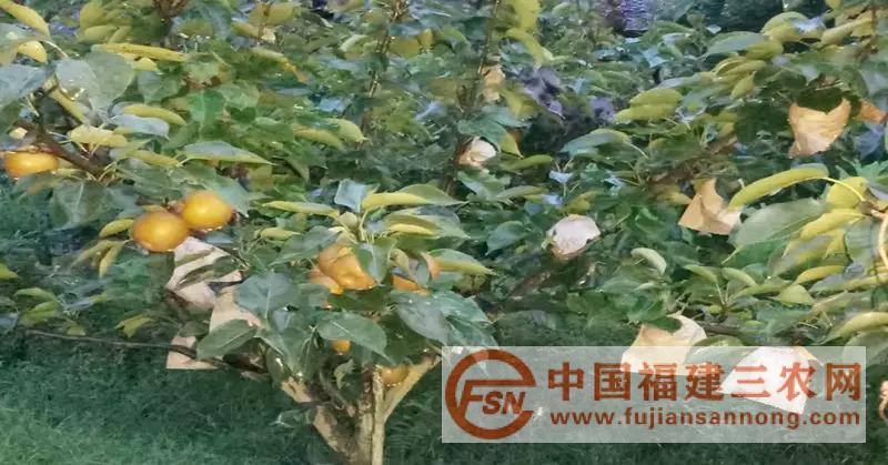 微信圖片_20180821171414.jpg