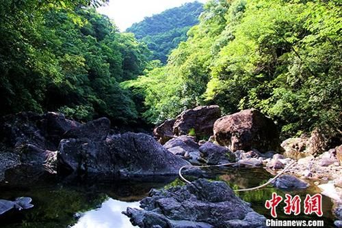 圖為山水奇石。 吳蘇梅 攝