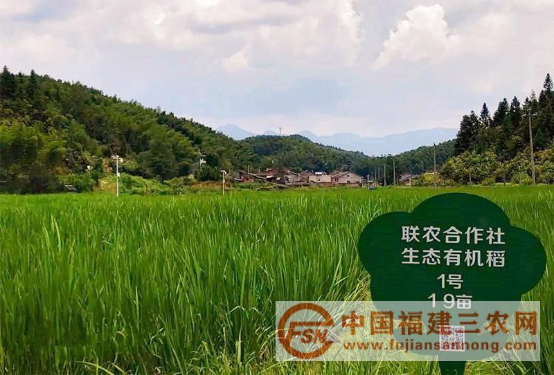 微信圖片_20180823172609.jpg