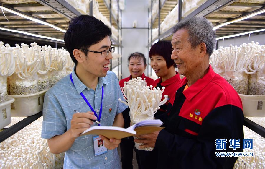 （脫貧攻堅）（1）福建古田：小菌菇開啟脫貧路