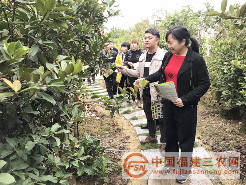 吳冬梅（右一）查看樹木.jpg