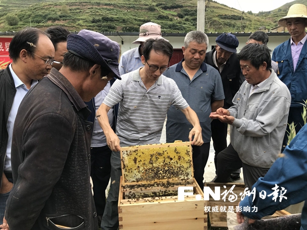 鼓樓與岷縣合作助推中蜂養(yǎng)殖 帶動(dòng)6900多戶群眾增收