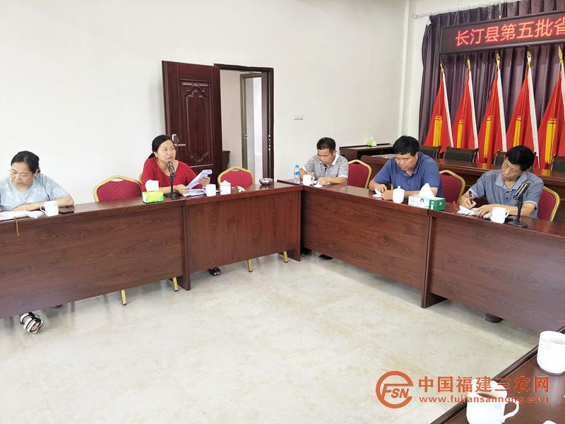 省發(fā)改委派駐長(zhǎng)汀縣新橋鎮(zhèn)鴛鴦村第一書(shū)記吳冬梅作交流發(fā)言.jpg