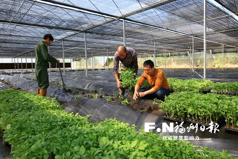 田間訪農(nóng)看振興