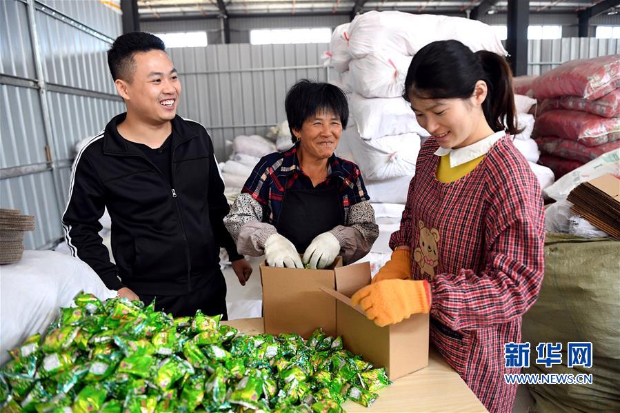 （社會(huì)）（1）新型職業(yè)農(nóng)民依托電商平臺(tái)助力山村振興
