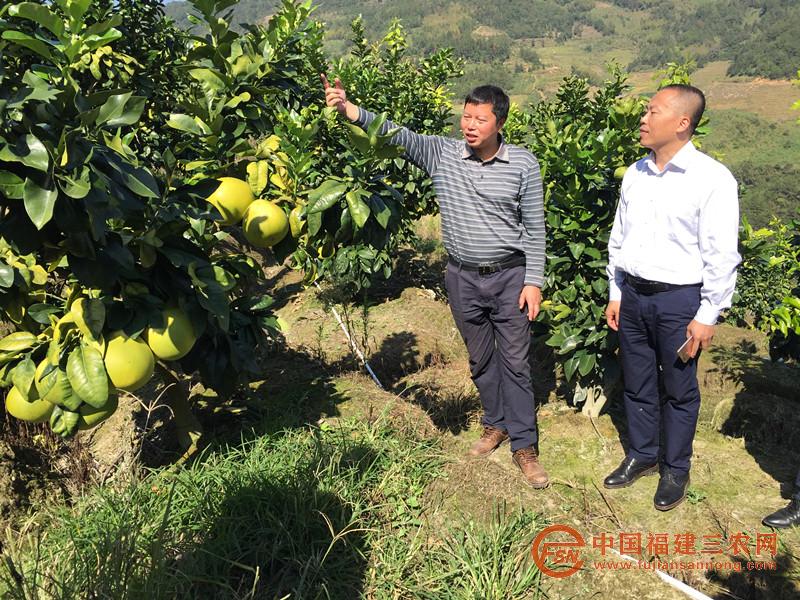 了解扶貧再貸款支持的種植業(yè)情況.JPG