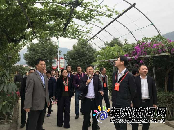市政協(xié)聚焦鄉(xiāng)村振興　提出6個可項目化運作典型案例