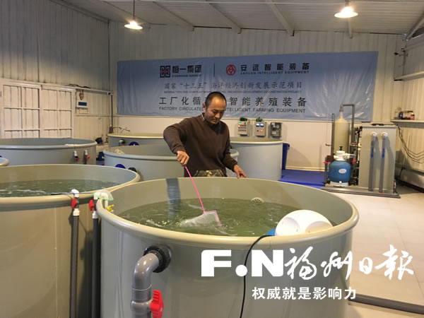 福州首個智能化循環(huán)水養(yǎng)殖系統(tǒng)研發(fā)成功
