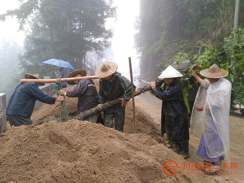 帶領(lǐng)村民種樹.jpg