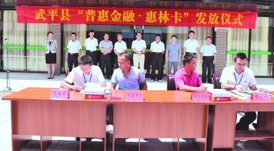 綠色信貸 龍巖打造林業(yè)金融升級版
