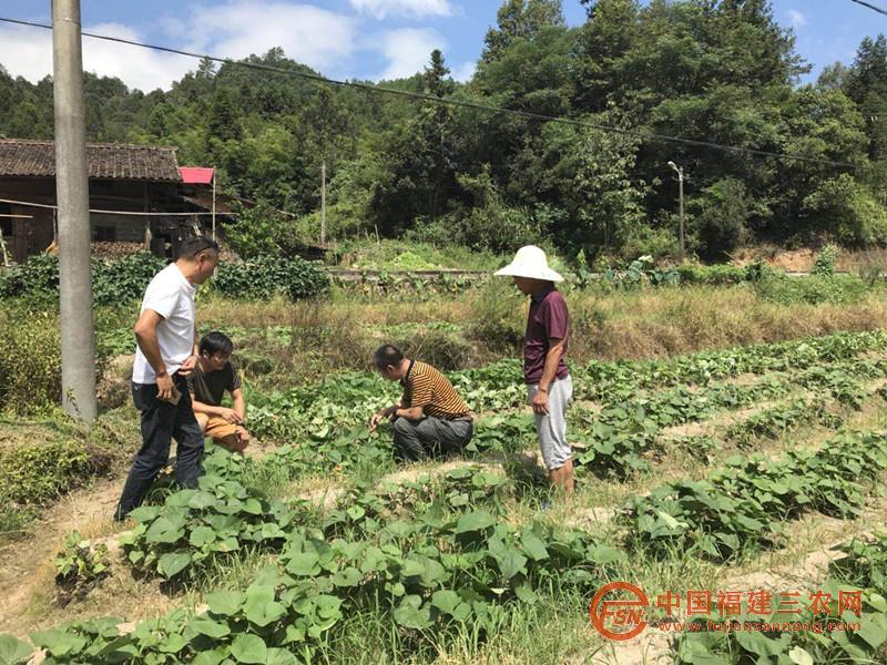 邀請(qǐng)縣農(nóng)業(yè)局到村指導(dǎo)旱種.jpg