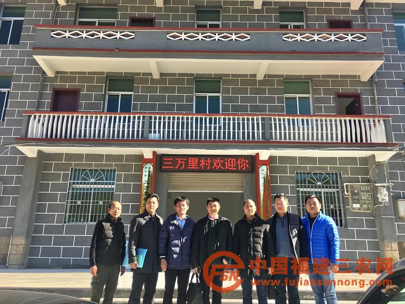 省派寧德市駐村干部領(lǐng)隊(duì)王業(yè)洲（右二）一行蒞臨三萬(wàn)里村調(diào)研.jpg