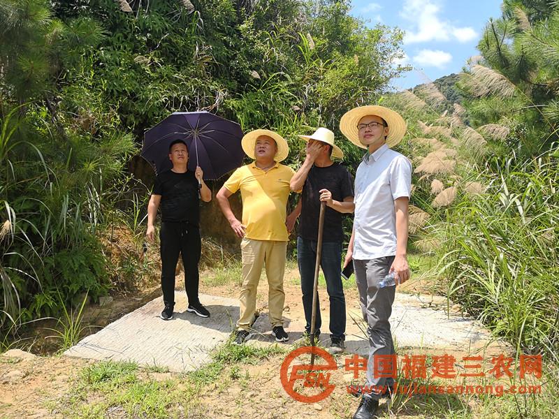與村兩委干部一同調(diào)研村油茶產(chǎn)業(yè).jpg