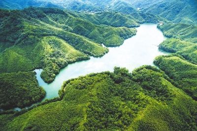 　生態(tài)綠色的武平捷文水庫(kù)