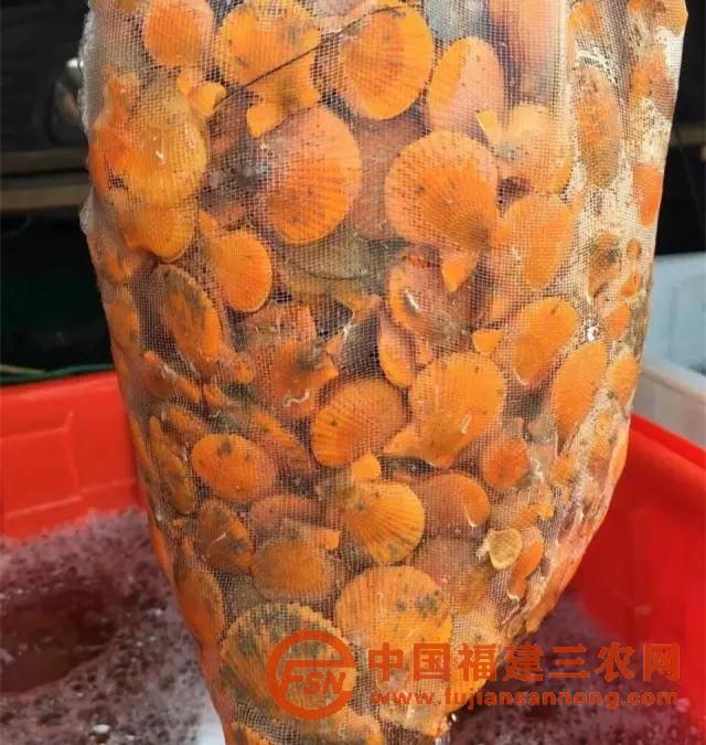 微信圖片_20190612144424.jpg
