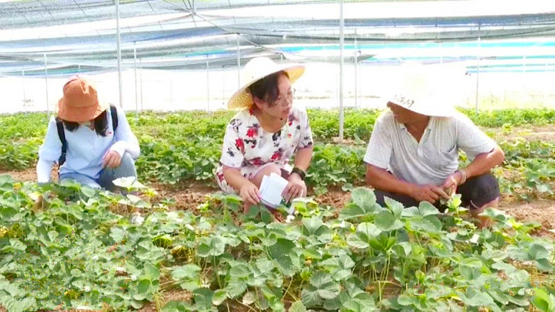 微信圖片_20190821172301.jpg