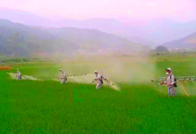 微信圖片_20190906090008.jpg