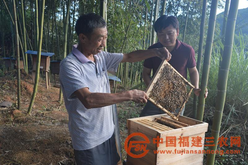 莊波陽圖3.JPG