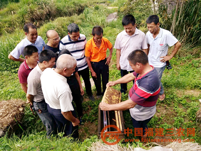 組織村民代表到周邊參觀學(xué)習(xí)養(yǎng)蜂經(jīng)驗(yàn).png