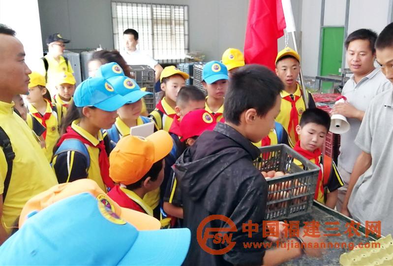 10月1日，閩藏少年兒童在中國(guó)以色列示范農(nóng)場(chǎng)蛋雞包裝車間參觀.jpg