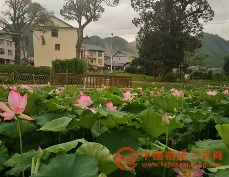 環(huán)境整治后_副本_副本.png