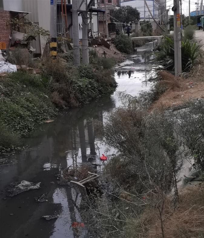 微信圖片_20191204141429_副本.jpg