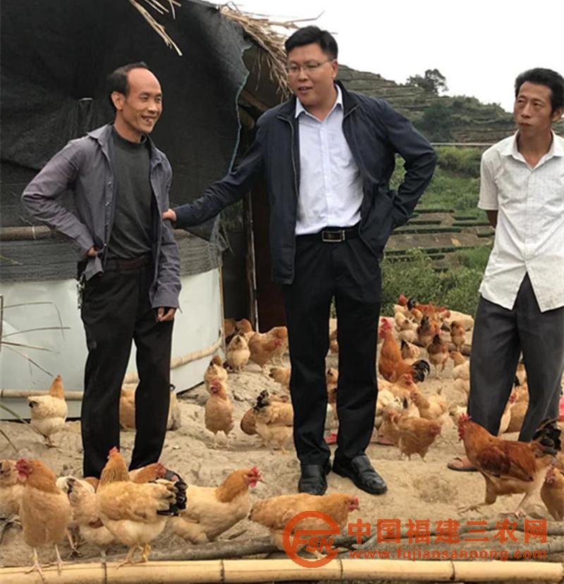 引進(jìn)河田雞養(yǎng)殖幫助貧困戶增收_副本.jpg