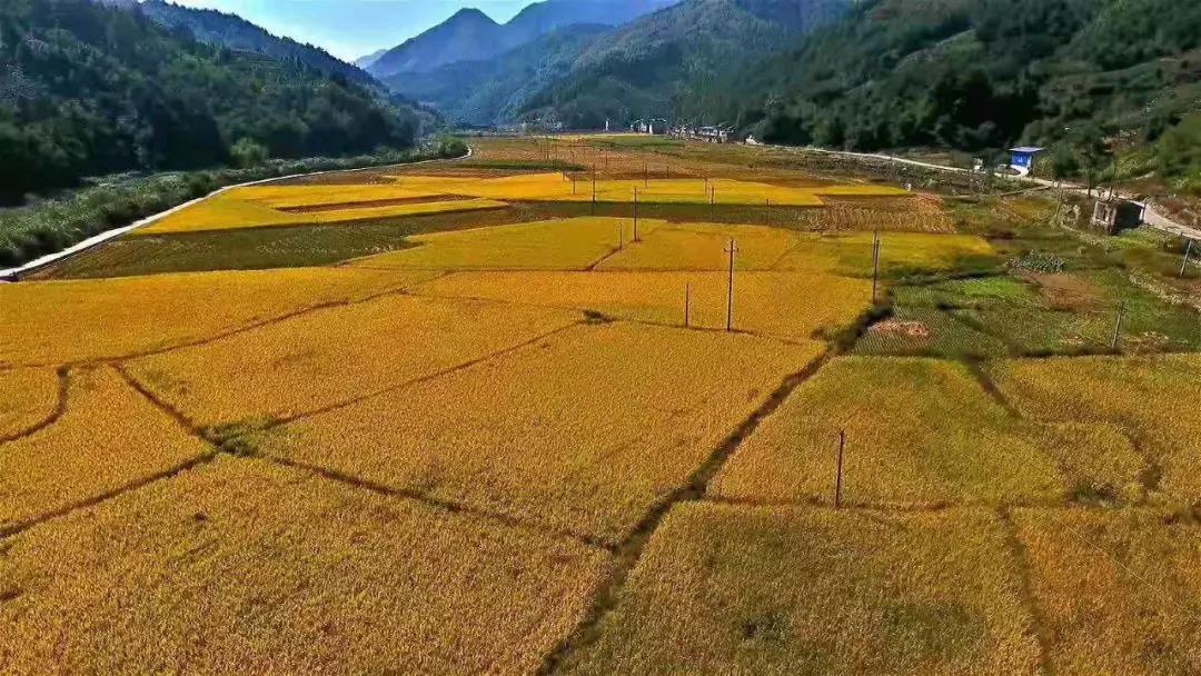 微信圖片_20191227091643.jpg