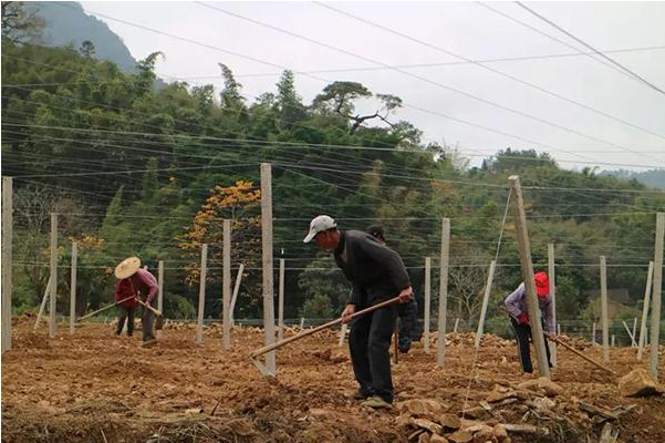 微信圖片_20191231091256.png