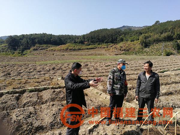 生姜基地種植現(xiàn)場2_副本.jpg