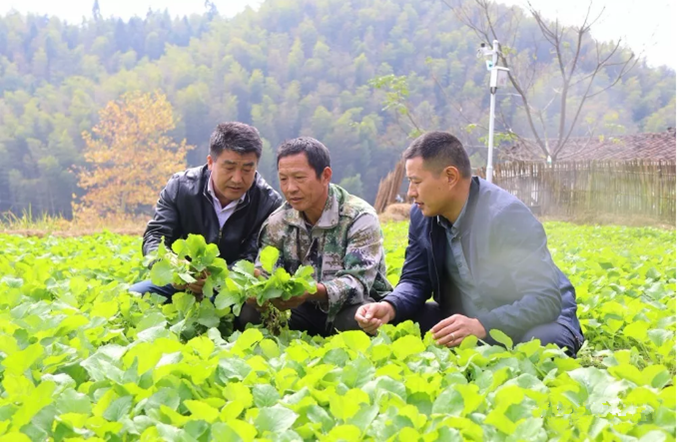 微信圖片_20200325101601.png