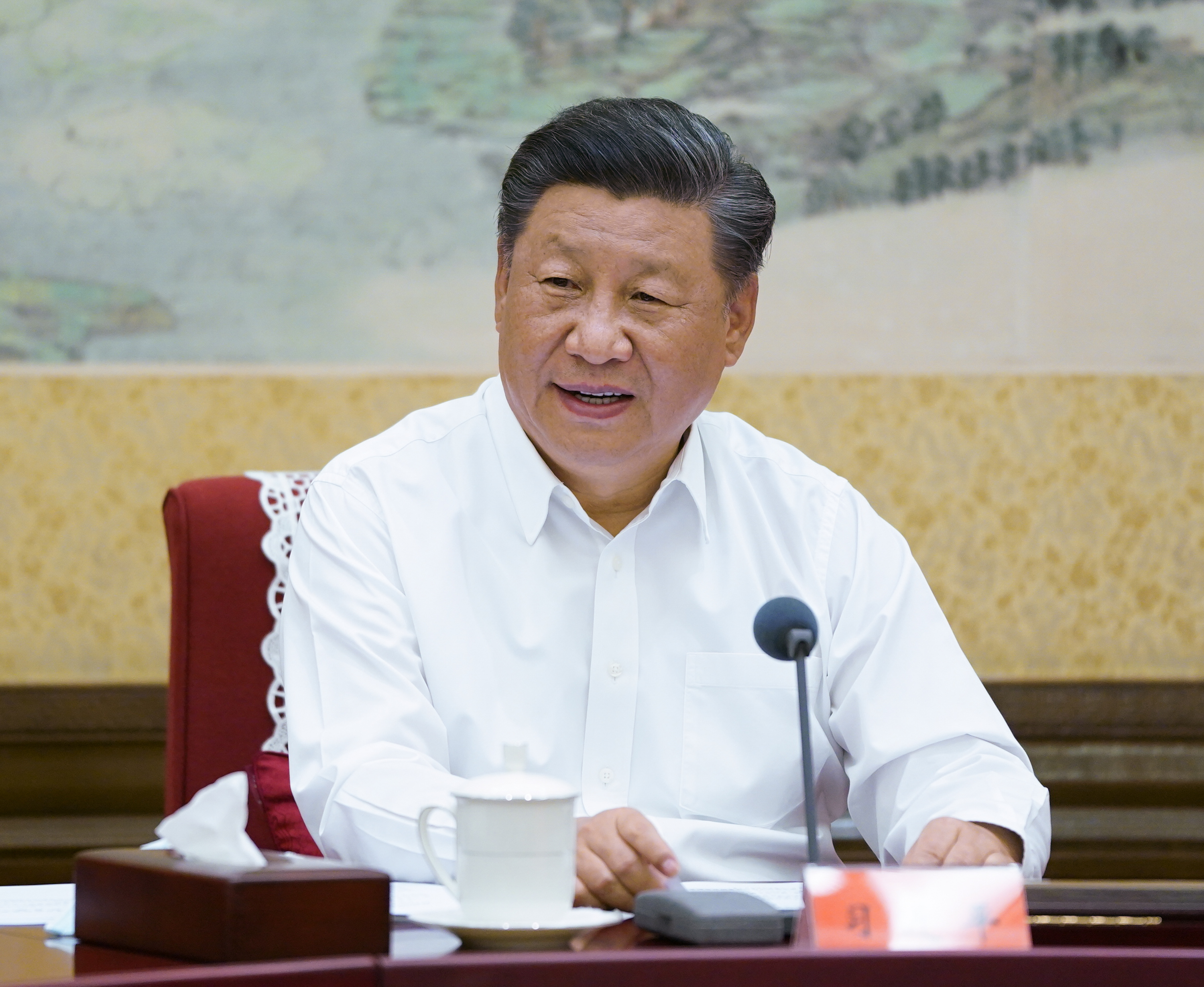 習近平2.JPG