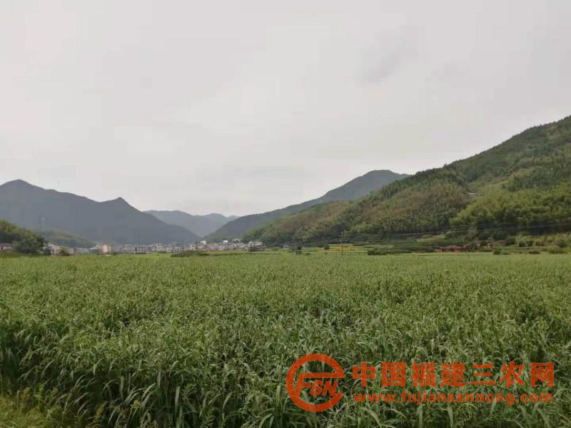 微信圖片_20200912191708_meitu_2.jpg