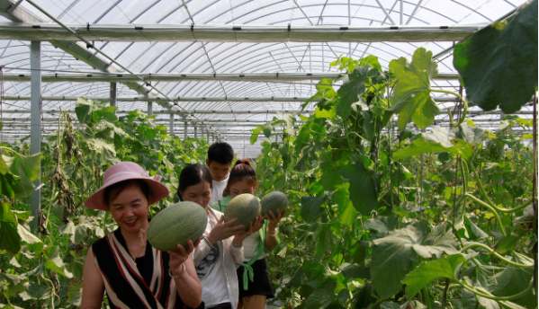 微信圖片_20200915112418.png