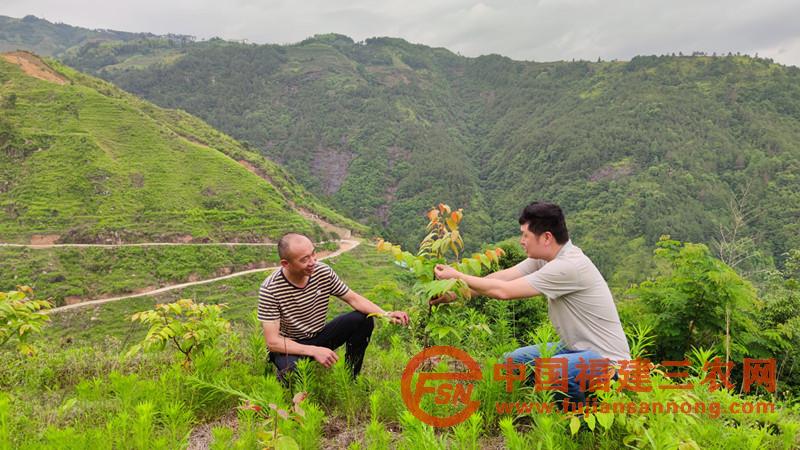 王大飛（右）為村民講解鉤藤種植技術(shù).jpg