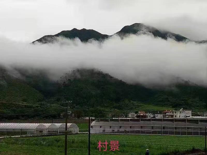 微信圖片_20210408091152.jpg