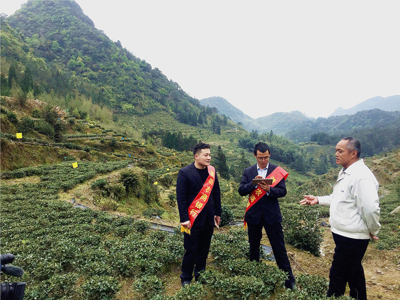 金融助理在田間地頭為茶農(nóng)辦貸，助力春耕備耕_副本.jpg