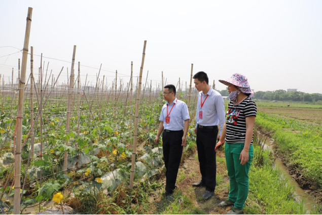 莆田農(nóng)商銀行金融助理在田間地頭開展信貸調(diào)查.png